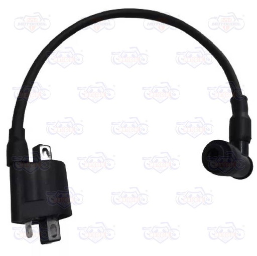 [F06060050] BOBINA DE ENCENDIDO