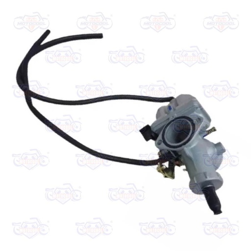 [E01010069] CARBURADOR