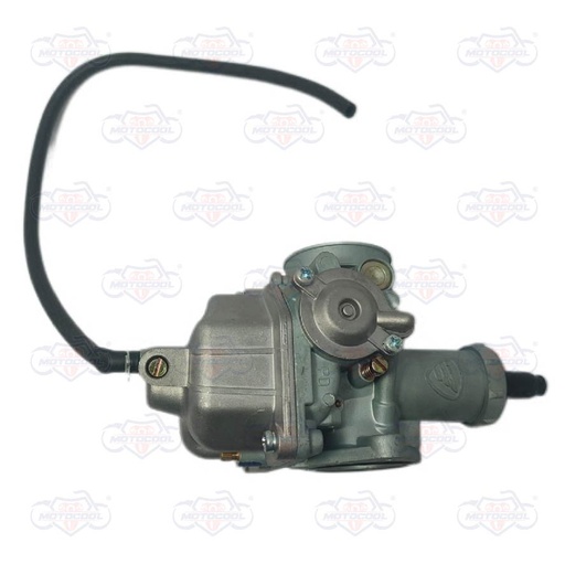 [E01010145] CARBURADOR