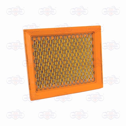 [1003226] Filtro Aire XY200GY-8/XM200GY-B/Sx1