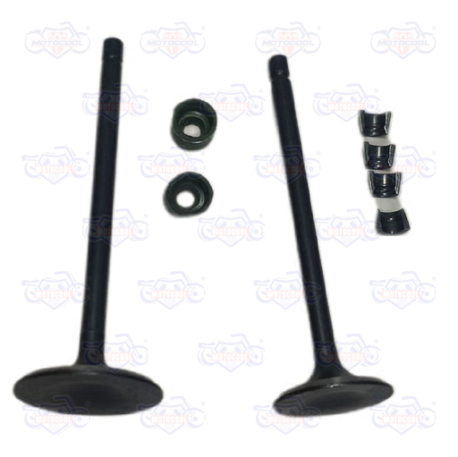 [E0405KV09] JUEGO VALVULAS MOTOR