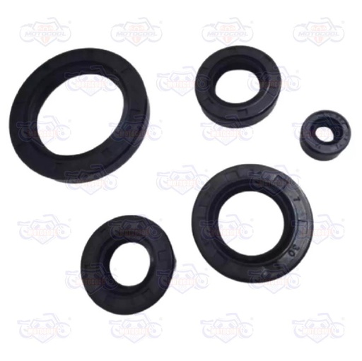 [1001319] KIT RETENES DE MOTOR CG125/150/200