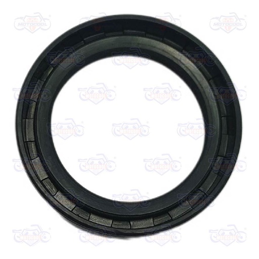 [1004625] KIT SELLO ACEITE  CG125/150/200