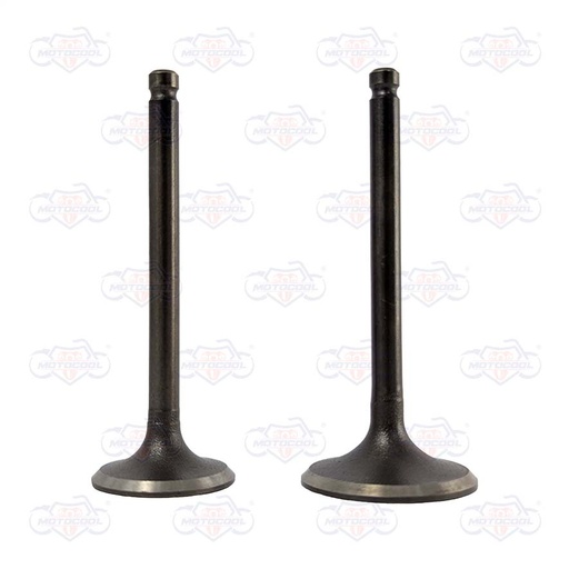 [1003539] KIT VALVULA GY6 150