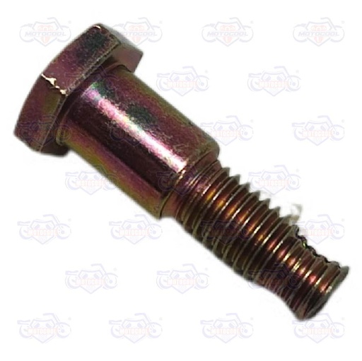 [F15020098] TORNILLO CUBIERTA FRENO TRAS