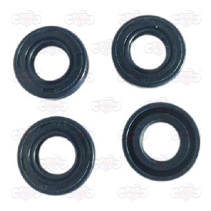 [E10030085] SELLO ACEITE 12X22X5