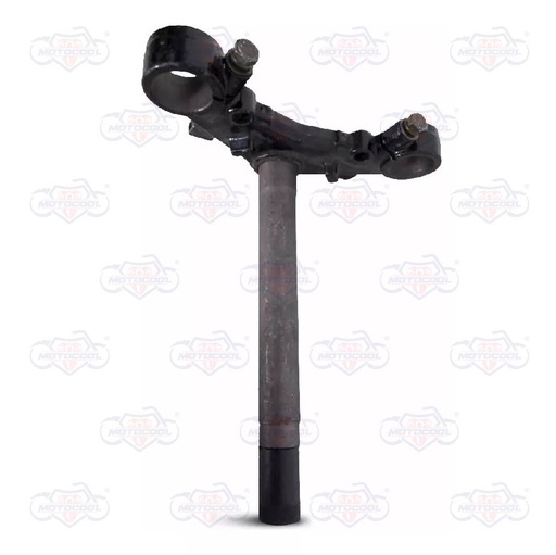 [F01010046] TELESCOPIO