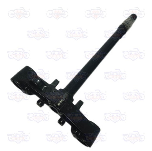 [F01020193] TELESCOPIO DIRECCION