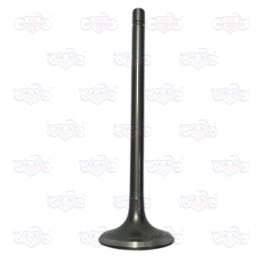 [E04050060] VALVULA DE ESCAPE