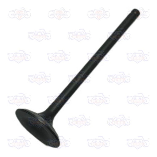 [E04050050] VALVULA ESC d=5.5 D=27 L=89.7