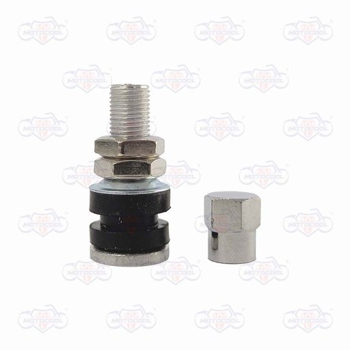 [1005327] Valvula llanta Radial Moto Standard Cromada